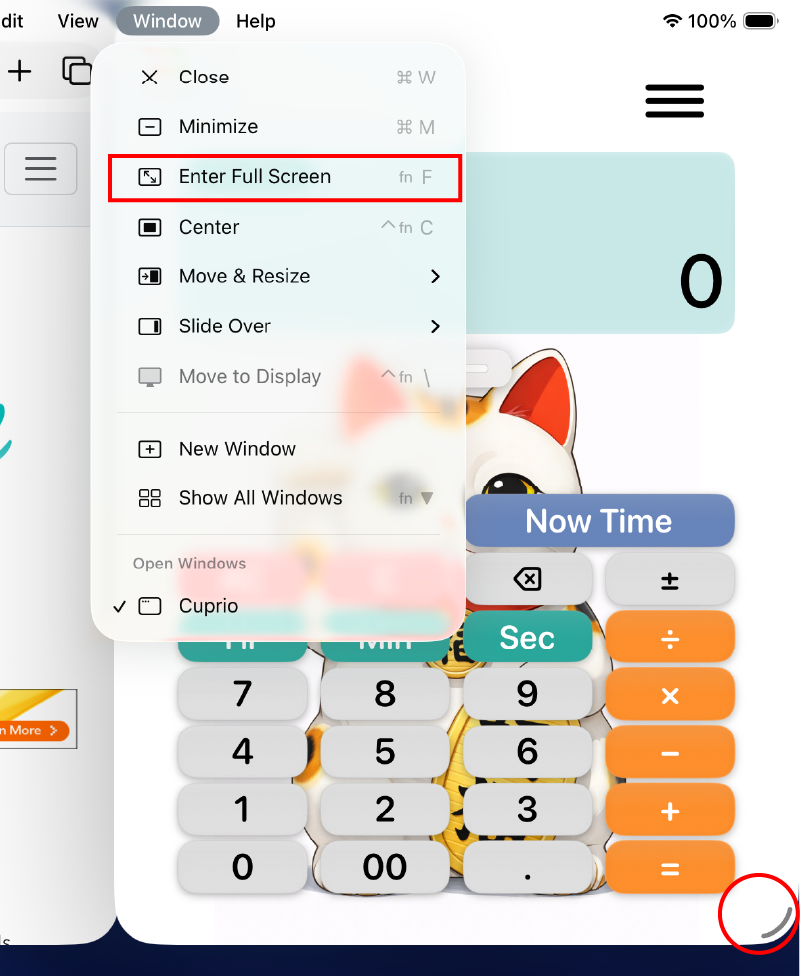 iPad use multi window