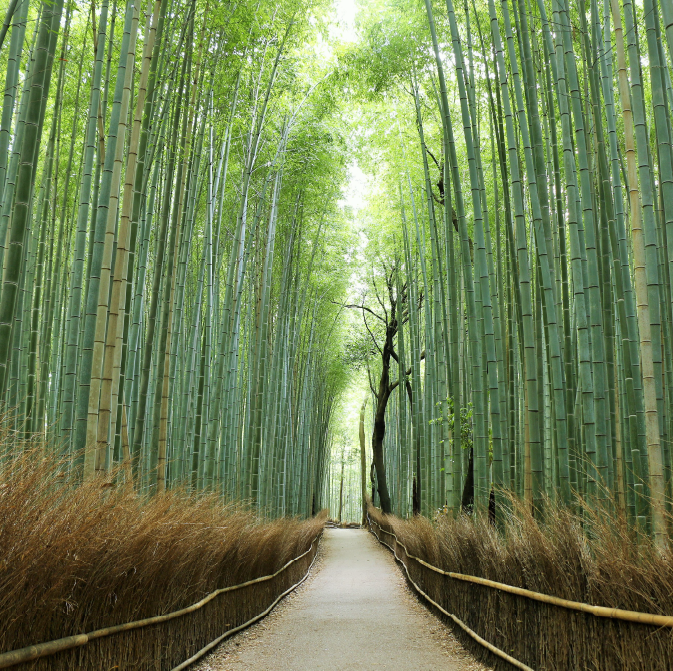 Arashiyama